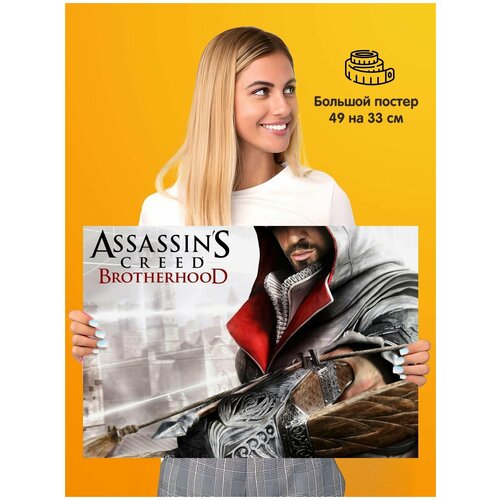   Assassins Creed    339
