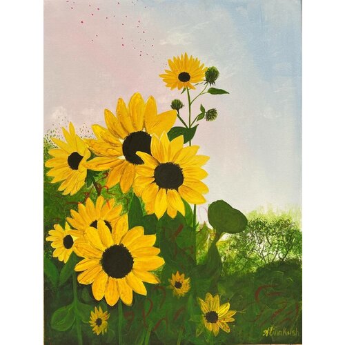 Sunflowers in the field /    / ,  4500