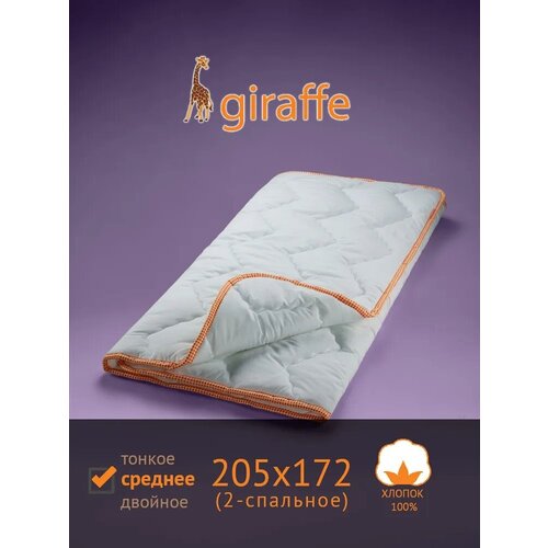   Giraffe  (, ), 205x172  3094