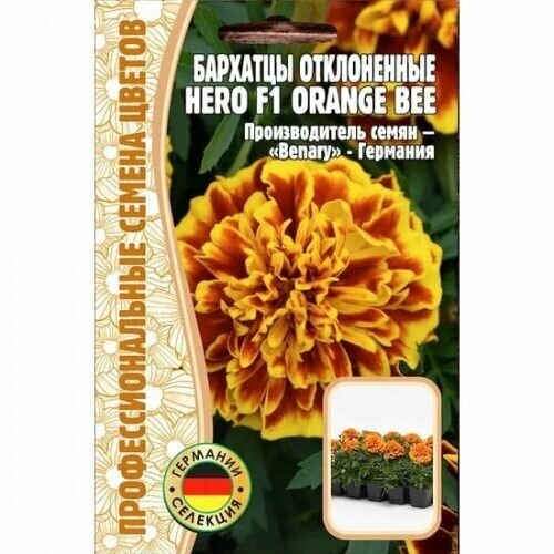  Hero Orange Bee  F1 10  (  ) 223