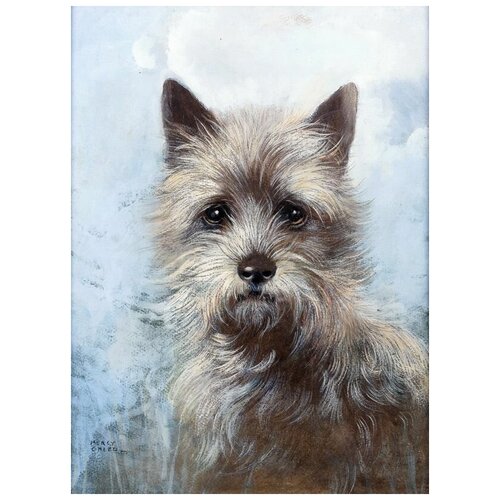    - (Portrait Of A Cairn Terrier)   30. x 41. 1260