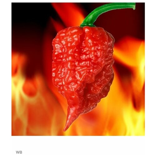    'Carolina Reaper' 3 . 490