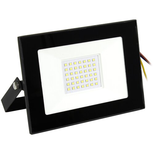  (LED)  FL SMD LIGHT Smartbuy-50W/6500K/IP65 409
