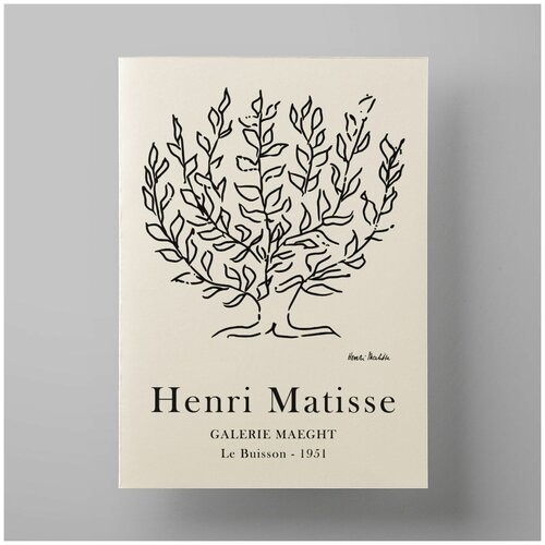     , Matisse, 3040 ,      560