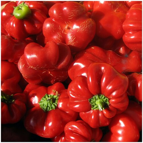   Pimento (. Pimento Sweet Pepper)  5 460