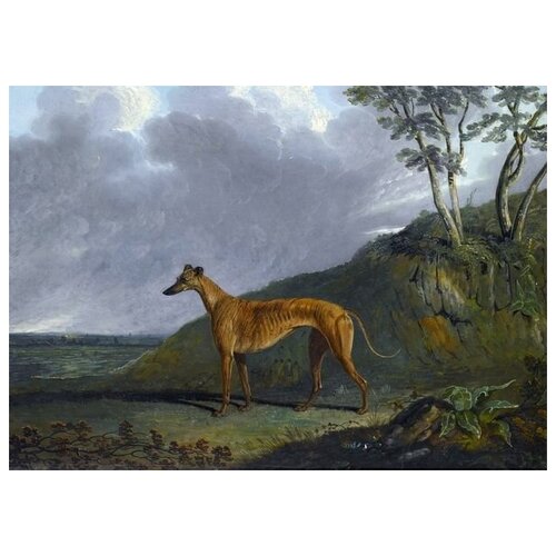     (Dog) 9    56. x 40. 1870