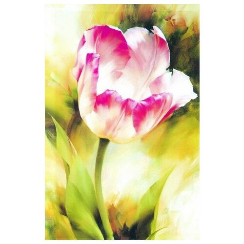     (Tulip) 4 30. x 46. 1350