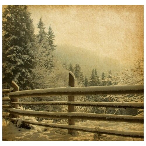      (Snow on the wicker fence) 31. x 30. 1040