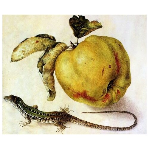       (Apple and lizard)   60. x 50. 2260