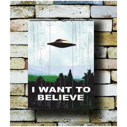    ''  I Want To Believe.  . X Files'' 30/40  1490