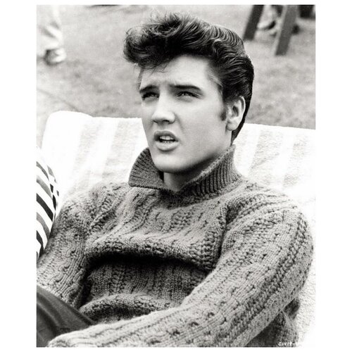      (Elvis Presley) 5 50. x 61. 2300