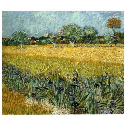            (View of Arles with Irises in the Foreground)    47. x 40. 1640