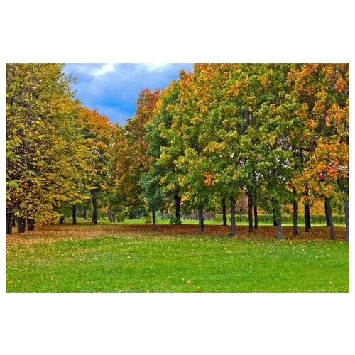      (Park in autumn) 45. x 30. 1340