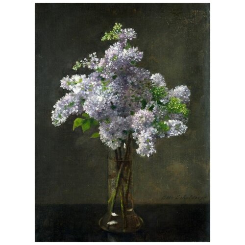     (Lilac) 1   50. x 68. 2480
