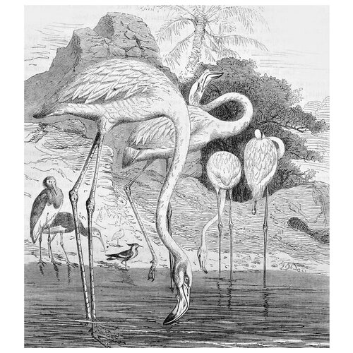     (Flamingo) 2 40. x 45. 1590