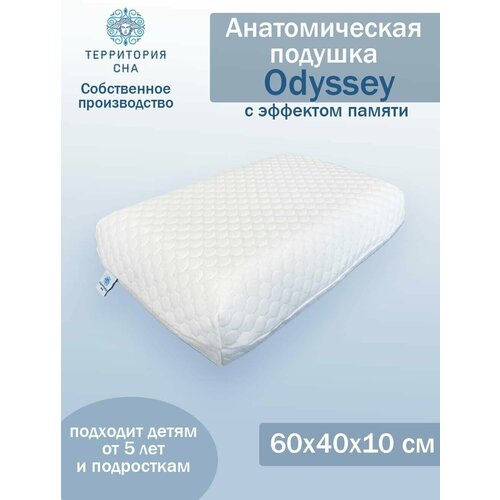      Odyssey S 6040 .     ,  ,   5070 . 4131