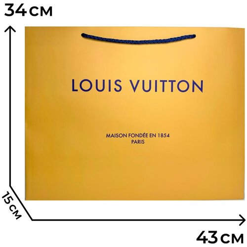    LOUIS VUITTON 310