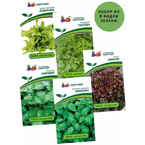 Семена зелени,5 видов:базилик мариан зеленый,кориандр карибе,петрушка титан,салат листовой эмили,салат листовой дубачек,от Агрофирма Партнер.. 890р