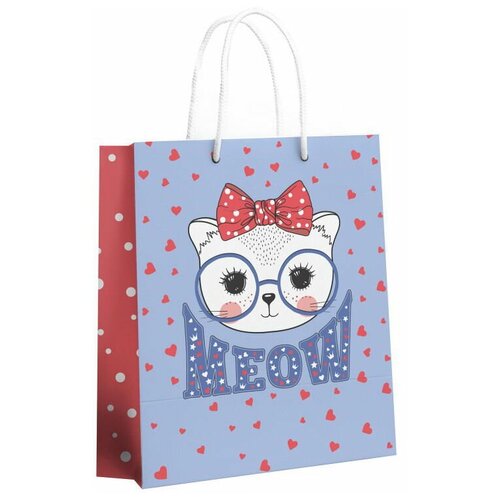 ���������� ����� ND Play Meow, ������� 250*350*100 �� 210�