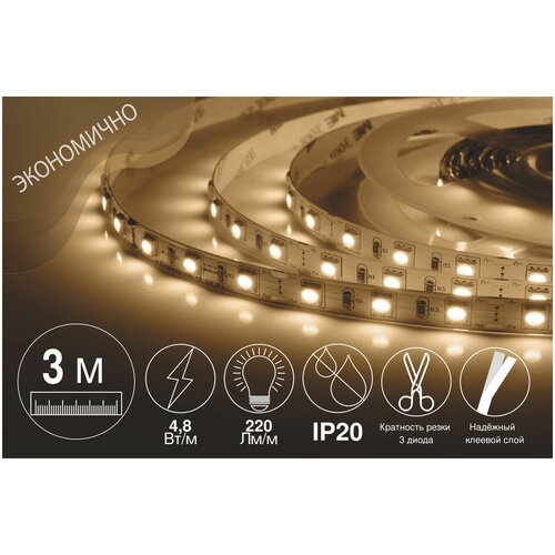  .  LED . 2 . 12, 4.8 /, SMD 3528, 60 /, IP20, 220 /,   746