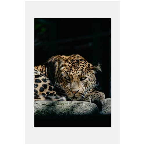 ������ ��� ��������� Postermarkt, 70�100 �� � ������, �������� #87 2699�