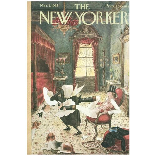 ������ / ������ / ������� ������� New Yorker - ��������� 40�50 �� � ���������� ������ 990�