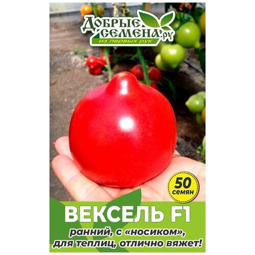 Семена томата Вексель F1 - 50 шт - Добрые Семена.ру 456р