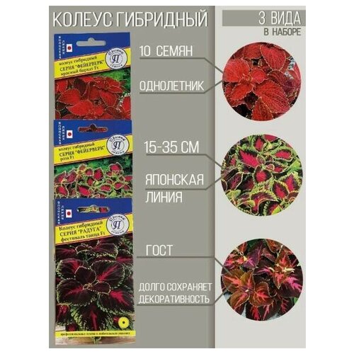 Набор семян Колеус гибридный японская серия 