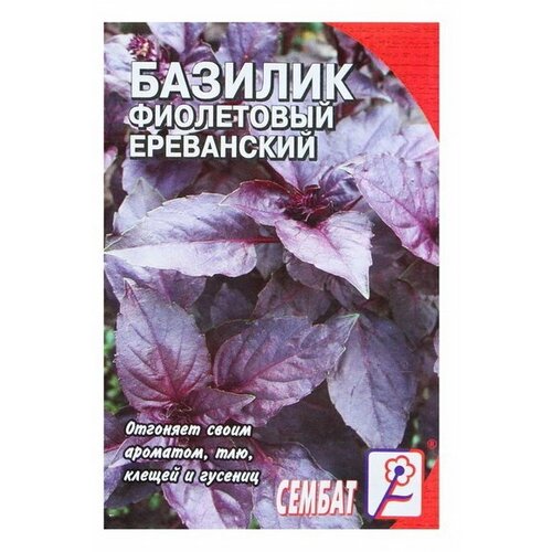 Семена Базилик фиолетовый Ереванский, 0.2 г, 5 шт. 203р