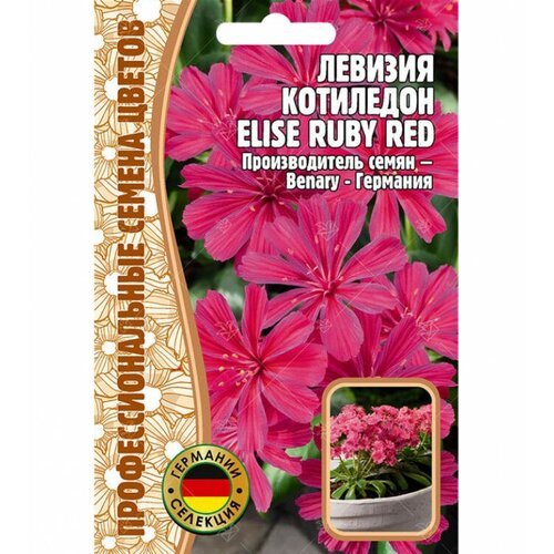 Семена Левизии котиледон Elise ruby red (3 сем.) 230р
