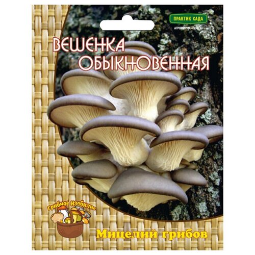 Мицелий грибов Вешенка обыкновенная 12 др.п. 496р