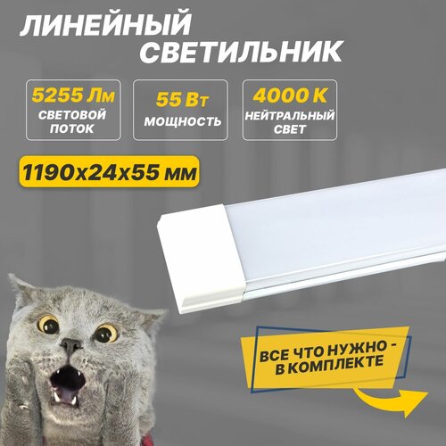   REXANT LED  ,   ,   , , , , ,   940