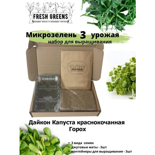 Микрозелень для выращивания Набор Fresh Greens (Дайкон Капуста краснокочанная Горох) 386р