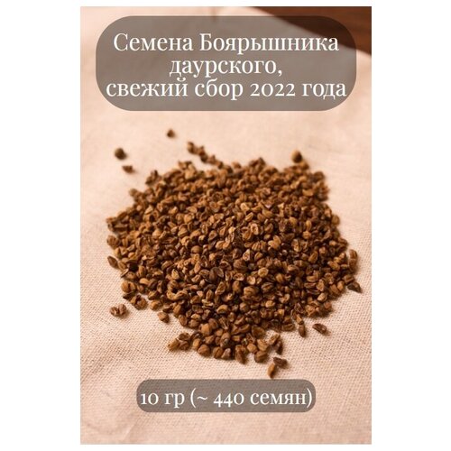 Семена Боярышника даурского 900р