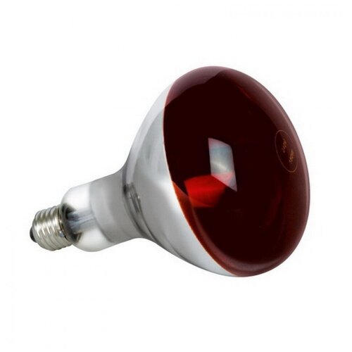    LightBest ERK R125 100W E27 Red ( 100)     ,  480  LightBest