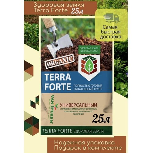    ,  Terra Forte,  , 25,  600  TERRA FORTE  