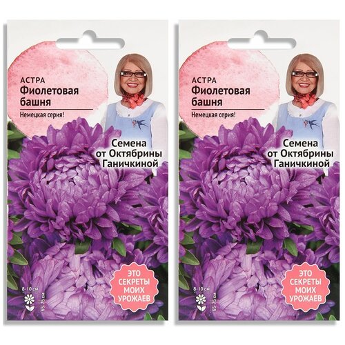 Набор семян Астра Фиолетовая башня 0.3 г - 3 уп. 319р