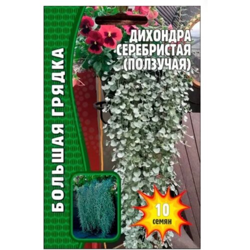 Семена Дихондры Серебристая ползучая (10 семян) 300р