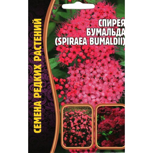   / Spiraea bumaldii 195