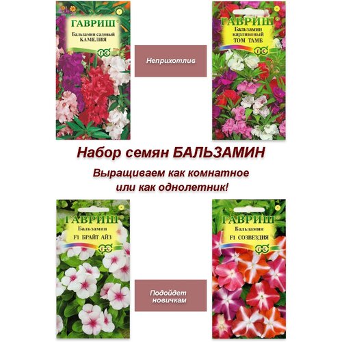 Набор семян, семена комнатных цветов Бальзамин, 4 пакета 379р