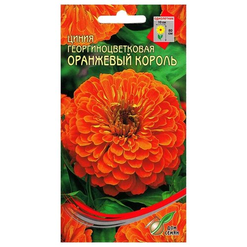Семена Цинния Оранжевый король 35шт для дачи, сада, огорода, теплицы / рассады в домашних условиях 376р