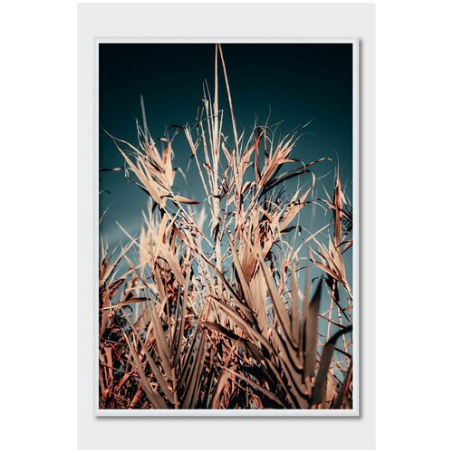 ������ ��� ��������� Postermarkt, 30�40 ��, #160 1619�