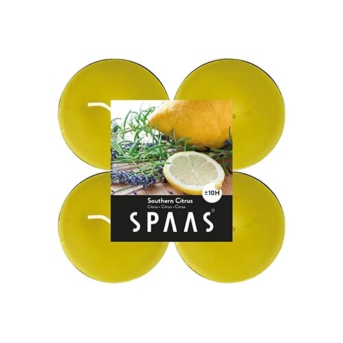 ����� ����� ����� ������ 4�� ����� ������ (10�),SPAAS 284�