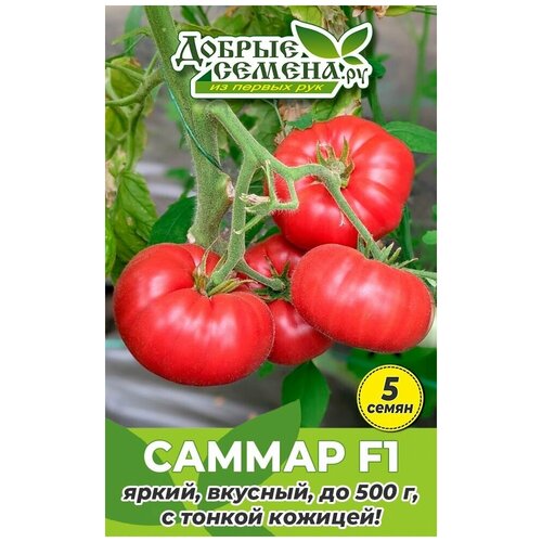 Семена томата Саммар F1 - 5 шт - Добрые Семена.ру 156р