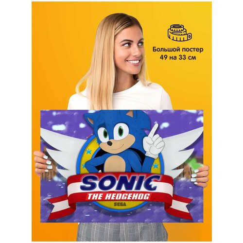 ������ ������ Sonic Sega ����� 339�