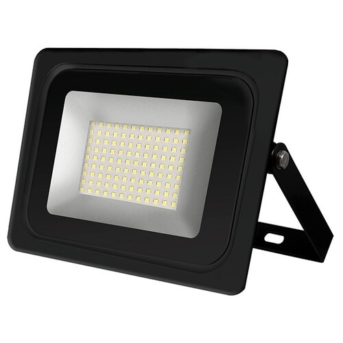   LED 100W 6500K IP65   IONICH,  833  UNIVersal