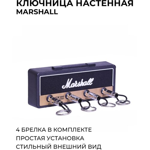 �������� ��������� ����� Fender 895�