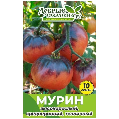 Семена томата Мурин - 10 шт - Добрые Семена.ру 144р