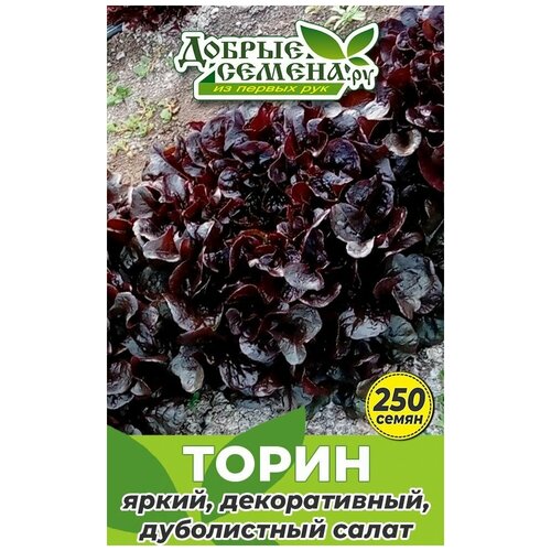 Семена салата Торин - 250 шт - Добрые Семена.ру 156р