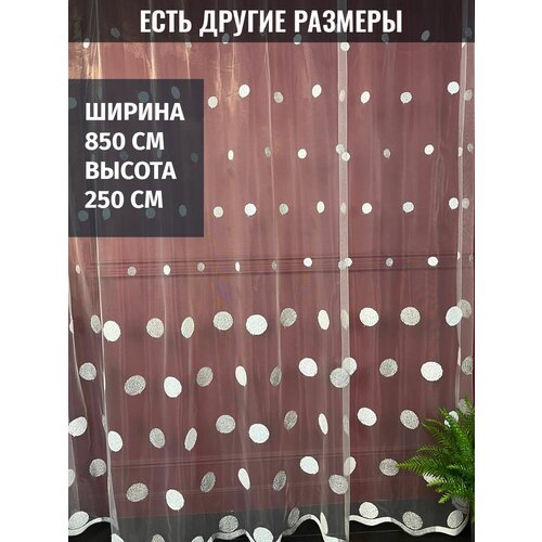���� �������, ����������, ������� ������, ������ 850x250 �� 7748�